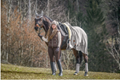 Horse Fleece Sweat Blanket Knitted