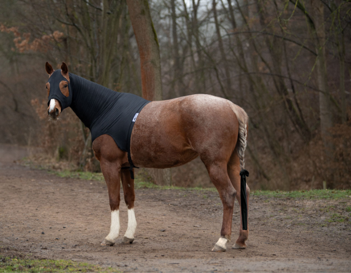 Horse head protection