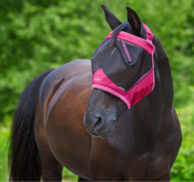 Horse Ear-Free fly mask 4