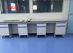 Modern Powder Coated Customizable Chemistry Lab Furniture