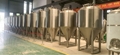 500L fermenter 3