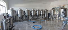 500L beer brewing system