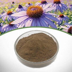Echinacea Purpurea Extract 