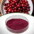 Cranberry Extract
