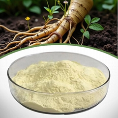 Ginseng Extract