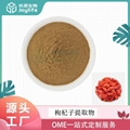 枸杞子提取物