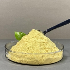  Polyferric Sulfate (PFS)