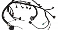 Custom Wiring harness solution