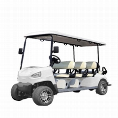 New Wholesale Golf Cart Electric Utility Vehicle 