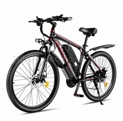 High End Mountain Bike