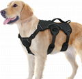 Straps, Dog Harness