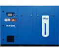 SLM-55 PM inverter compressor