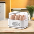 egg boiler 2