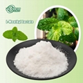 L-Menthyl Lactate CAS:59259-38-0 1