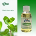 Menthol acetate CAS:89-48-5