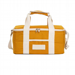 Custom 20L Cooler Bag Insulated Waterproof PEVA Lunch Box with Hand OEM