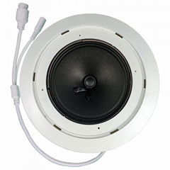 IP Ceiling Speaker 20W Poe Speaker Indoor Ceiling Speaker