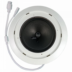 SIP Ceiling Speaker 5W Poe Speaker