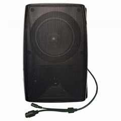 SIP Poe Speaker 20W 30W Indoor Wall Mount Fashion Speaker