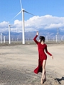 4MW 5MW 6MW 8MW 9MW 10MW 11MW Onshore Wind Turbine 2