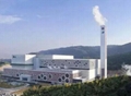 100MW - 1200MW Biomass Power Plant 5