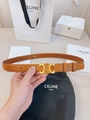 Celine Triomphe Medium Belt z1248