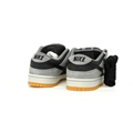 Nike SB Dunk Low Pro Zoom"Dark Smoke Grey