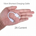 10cm Short Type C Cable
