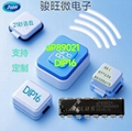 aP89021 一次性烧录语音