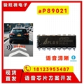 aP89021 一次性烧录语音IC 按客户要求定语音程序