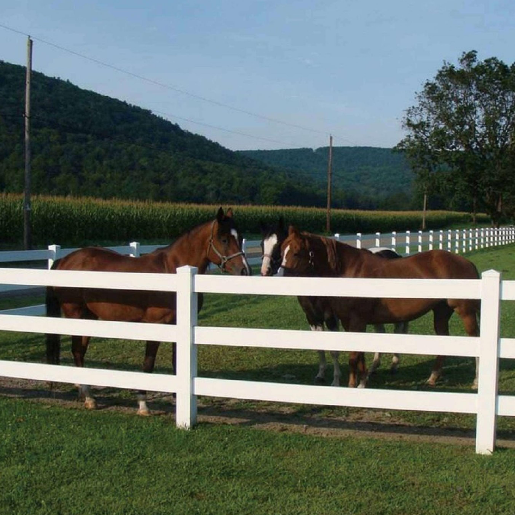 Durable Vinyl Security Fence for Maximum Privacy and Style 4