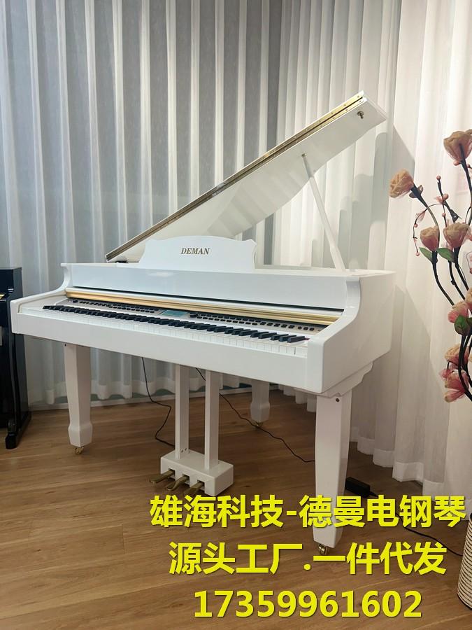 雄海科技电钢琴88键全重锤电钢琴DigitalPiano德曼电钢琴教学琴行电钢琴 2