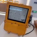 BFC8119-200WLED