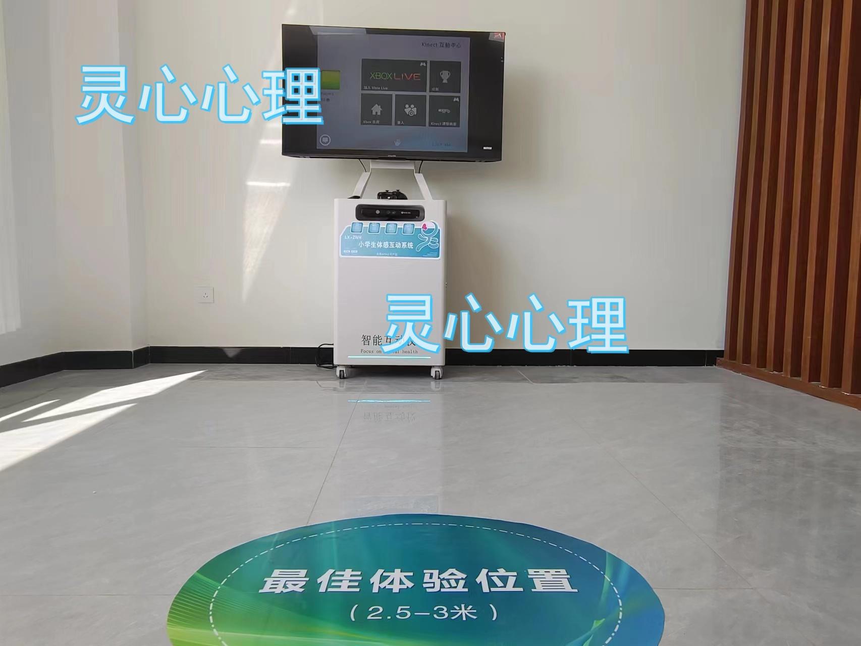 智能宣洩產品  智能互動儀