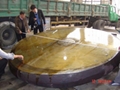 create best quality forged discs with excellent mechanical properties 1