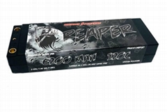 TP6200-2SRP120