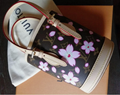 Louis Vuitton Takashi Murakami Cerises Cherry Nano Bucket 2025 PSL