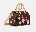 Louis Vuitton Takashi Murakami Cerises Cherry Nano Bucket 2025 PSL