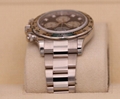 Rolex Daytona White Gold Black Mother of Pearl Dial 116509 luxury swiss watch 