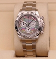 Rolex Daytona White Gold Black Mother of Pearl Dial 116509 luxury swiss watch 