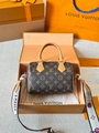 M81085 Nano Speedy bag Monogram