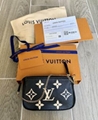Louis Vuitton LV M80732 Mini Pochette Accessoires Bicolor Monogram LV handbag 