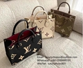 Louis Vuitton LV M80732 Mini Pochette Accessoires Bicolor Monogram LV handbag 