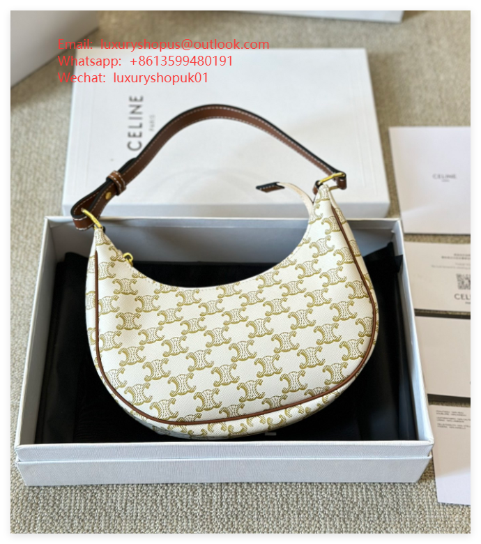 Celine Ava Triomphe Canvas calfskin leather handbag Best luxury design tote bags