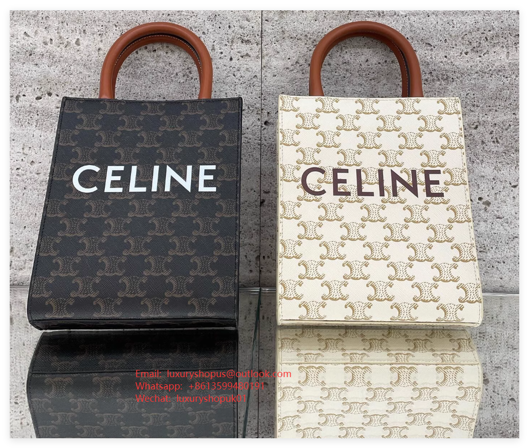        Ava Triomphe Canvas calfskin leather handbag Best luxury design tote bags 18