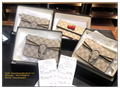 Gucci Dionysus GG Supreme mini bag small structured Women's chain strap Handbags