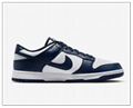 Nike Dunk Low Retro Men's Shoes
