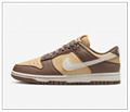 Nike Dunk Low Next Nature Women's Shoes