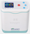 portable oxygen concentrator