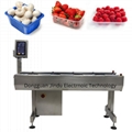 Strawberry, Raspberry, Mushroom Weighing Packing Production Line 2